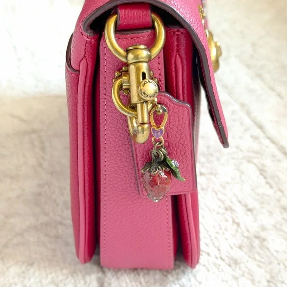 Rare Coach Cassie 19 Crossbody Bag with Custom Charms💕 - Picture 7 of 12